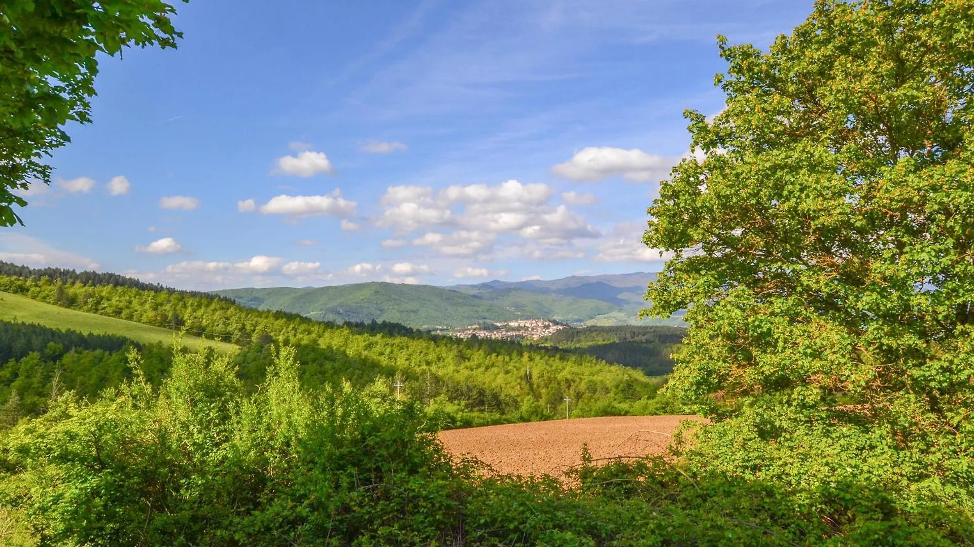 Amazing Apartment In Castel Focognano